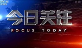 怎样向今日关注爆料,如何高效爆料，助力真相大白